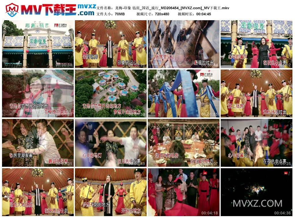 龙梅-印象 毡房_国语_流行_MD206454